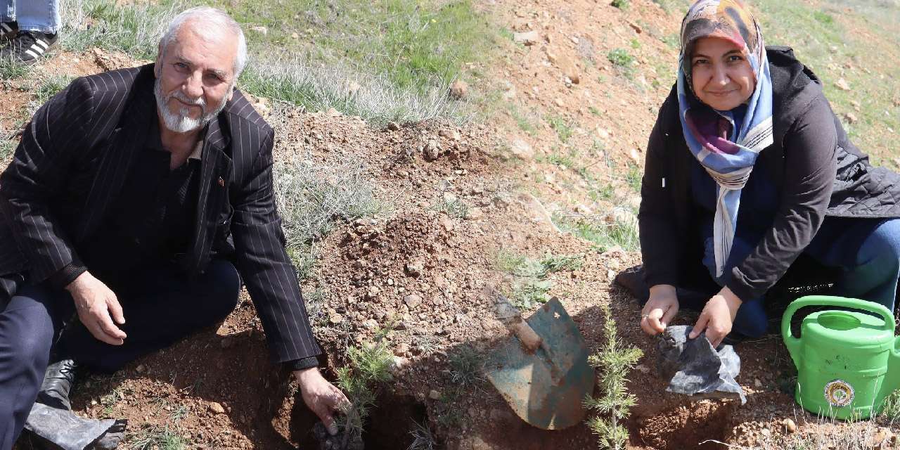 Kırıkkale'de yeşil bir gelecek için el ele: Şehit aileleri ve gaziler fidan dikti!