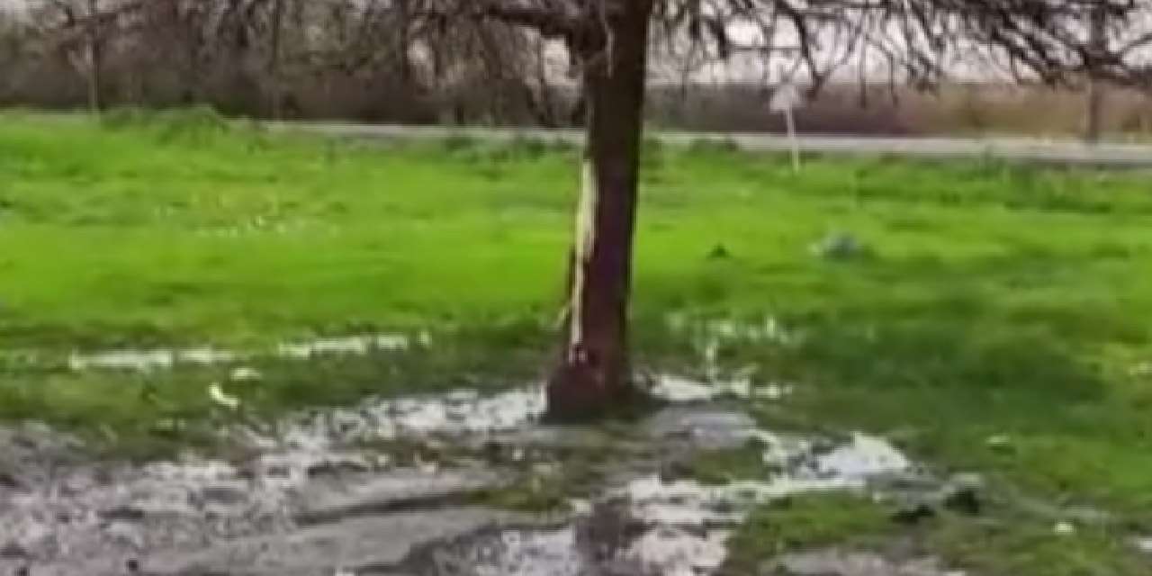 Yıldırım çarpması sonucu 2 kuzen hayatını kaybetti