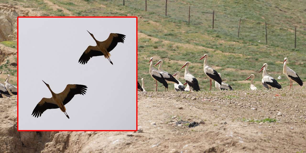 Kırıkkale semalarında görsel şölen: Bu buluşmayı daha önce görmediniz