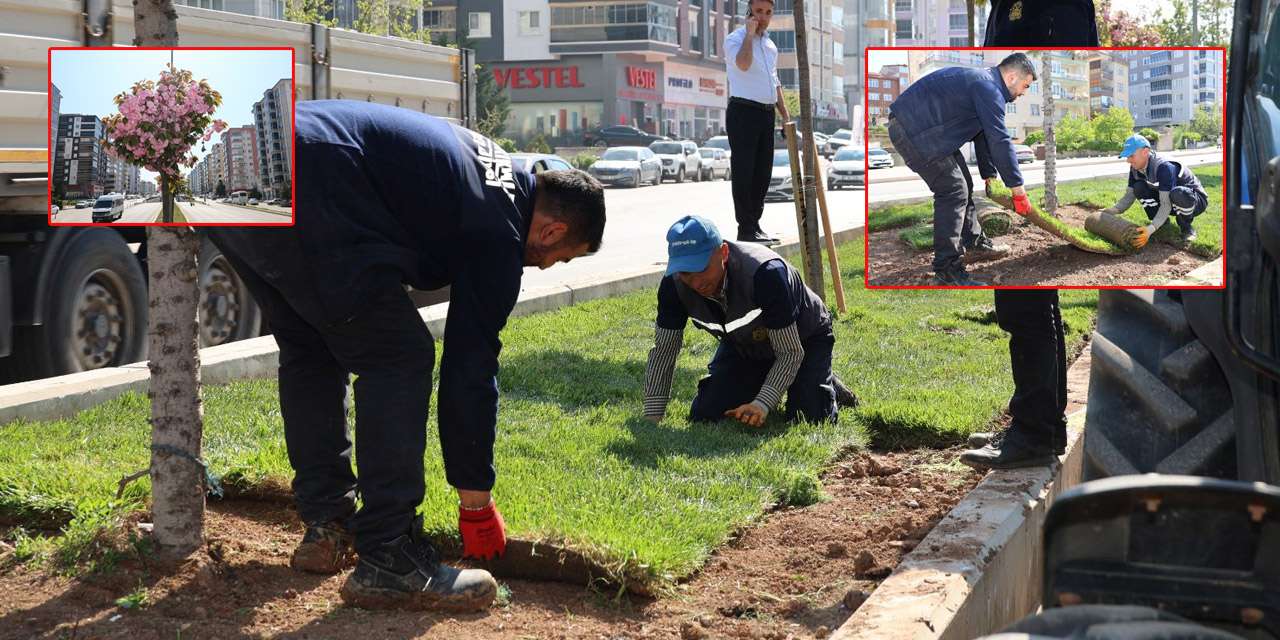 Kırıkkale’de refüjlere yeşil dokunuş: Ekipler gece gündüz mesaide!