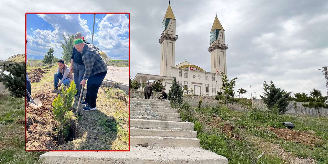 Bahattin Akyön duyurdu: İslami Değerler Külliyesi ağaçlarla yeşeriyor