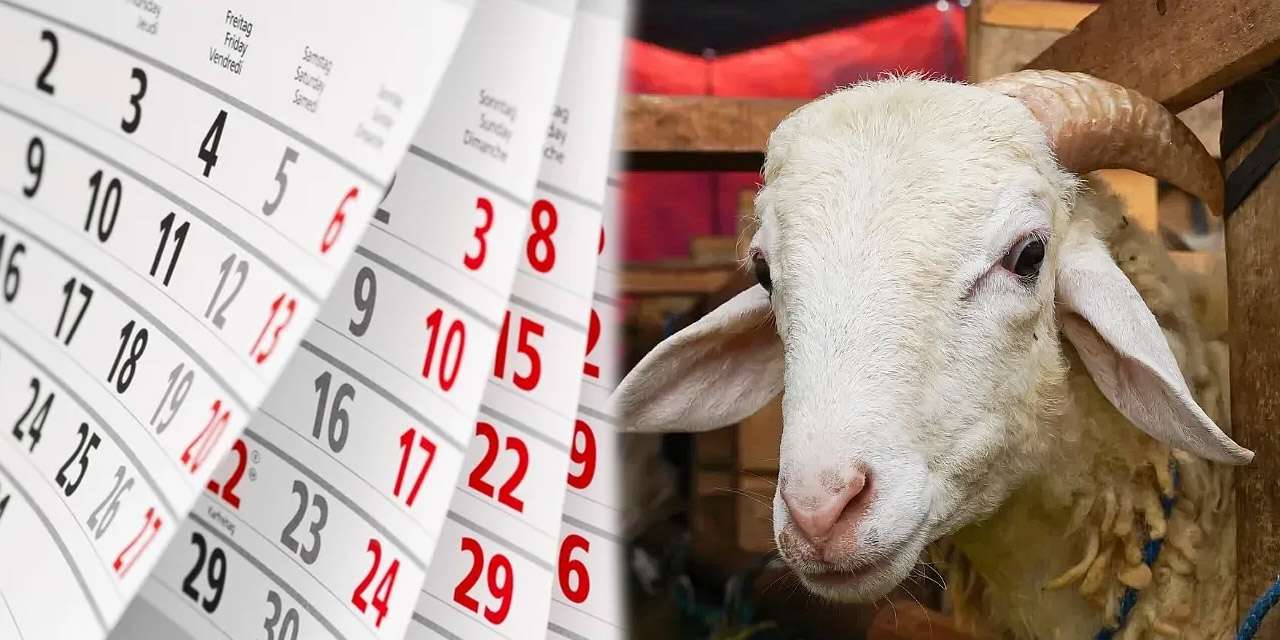 2026 Kurban Bayramı ne zaman? Tatil planı yapanlar dikkat! Tatil uzatıldı mı?