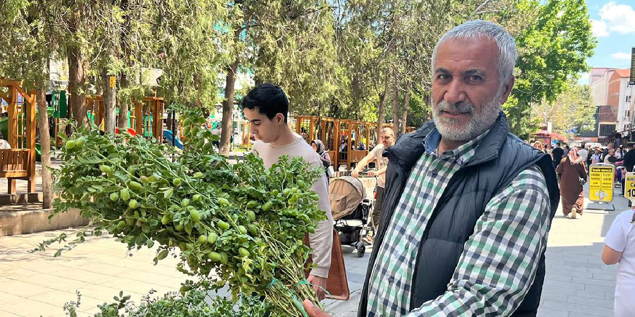 Kırıkkale yeşil nohut fiyatı tezgahları şenlendirdi: Bağ bağ satılıyor