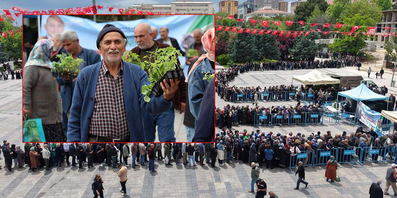Kırıkkale Belediyesi fide dağıtımı ile üreticiye dev destek: 500 bin fide toprakla buluşuyor