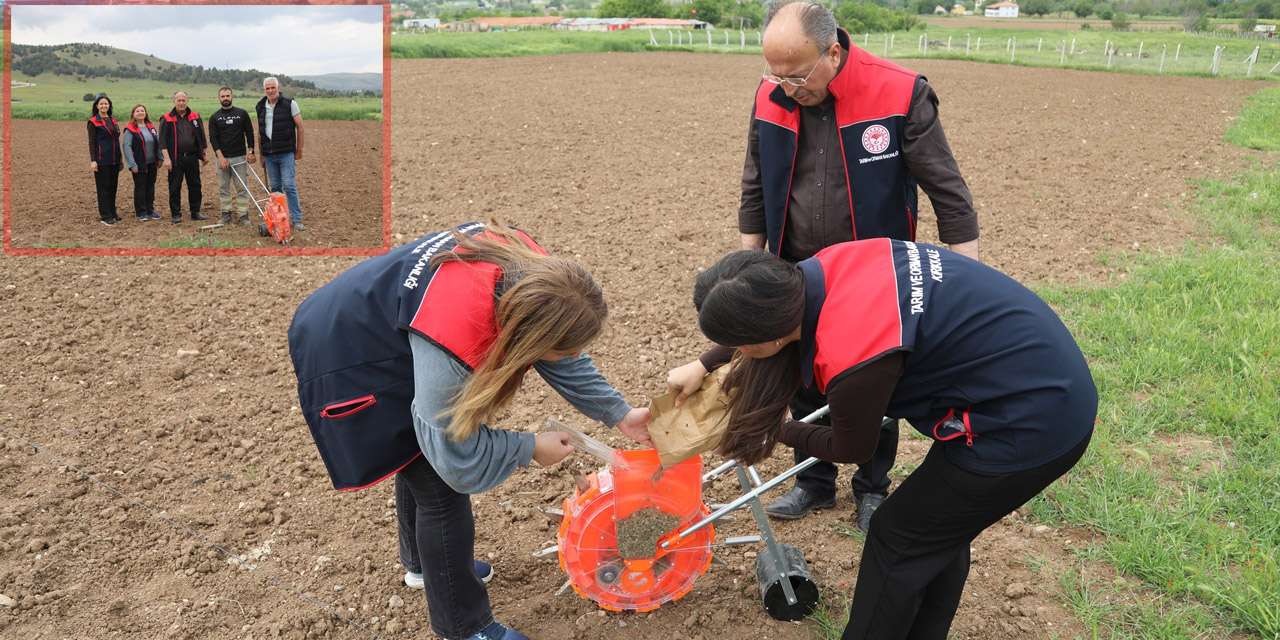 Kırıkkaleli kadınlar tarımda tarih yazıyor: Yeni üretim modeli için ilk tohumlar atıldı