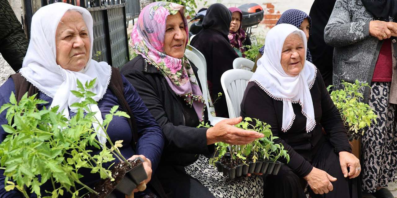 Kırıkkale Belediyesi'nden tarıma büyük destek: 6 köyde binlerce ücretsiz fide toprakla buluştu!