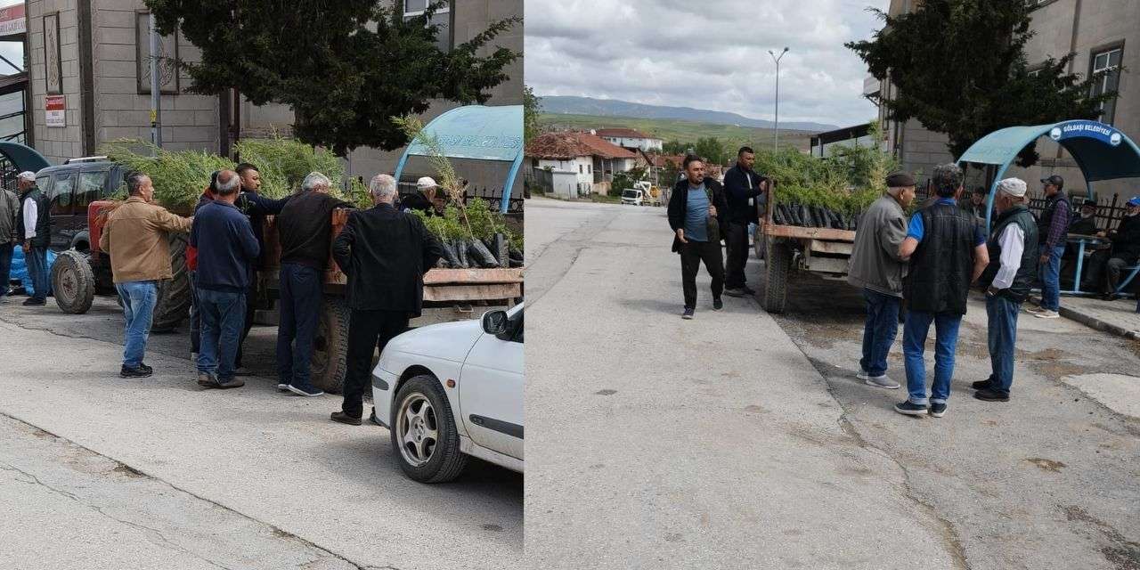 Karakeçili’ye nefes olacak yatırım: Kırıkkale Orman Bölge Şefliği’nden gelen fidanlar dağıtıldı
