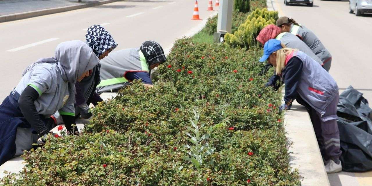 Kırıkkale Belediyesi'nden bayram öncesi çevre atağı: Orta refüjler baştan aşağı yenileniyor