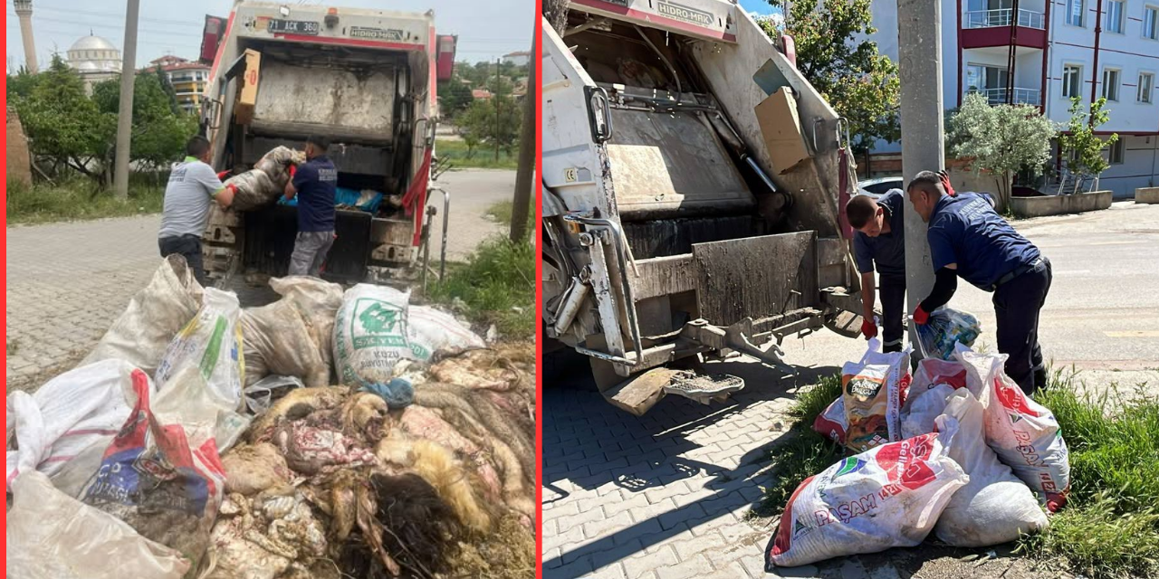 Bayramda Kırıkkale'de yoğun mesai: Temizlik ve ilaçlama bir arada yürütülüyor