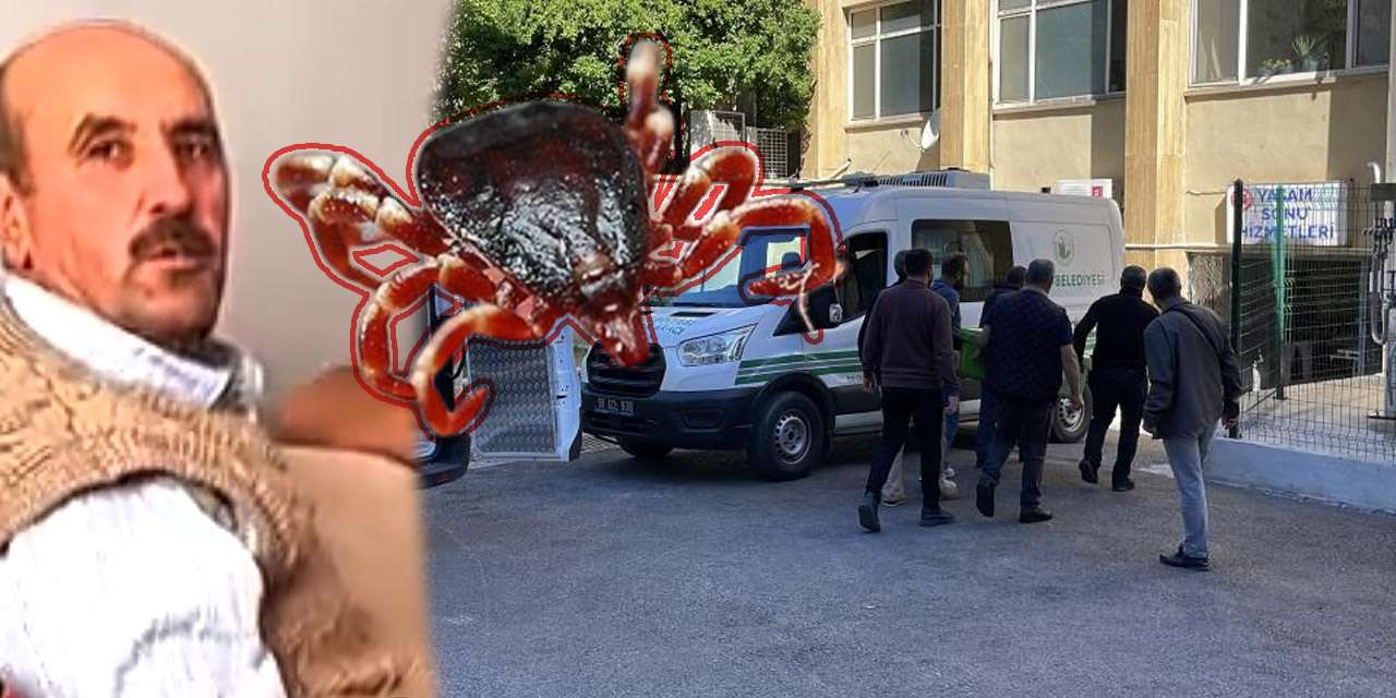 Sivas'ta hayvancılık yapıyordu, hastanede acı haber geldi: 3 çocuk babası kurtarılamadı!