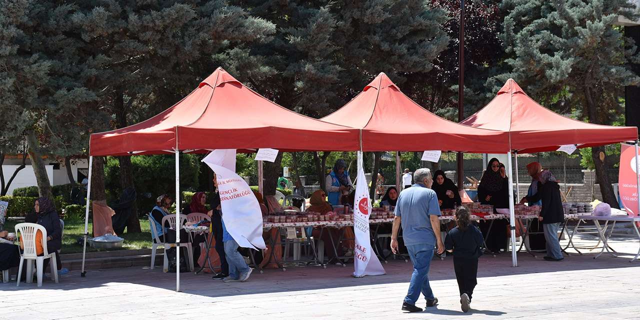TDV ve Kırıkkale Müftülüğü el ele verdi: Gençler için hayırda yarıştılar