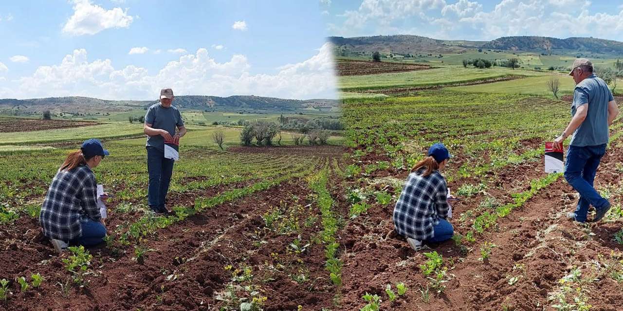 Kırıkkale tarımında saha alarmı: Teknik personel üreticiler için köyleri geziyor