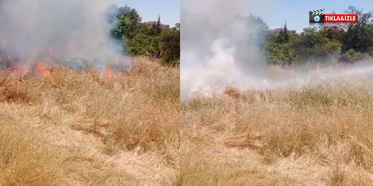 Kırıkkale Gündoğdu Mahallesi'nde korkutan yangın: Çok sayıda ağaç kül oldu!