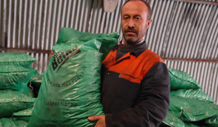 Kömürler “Belko” güvencesinde
