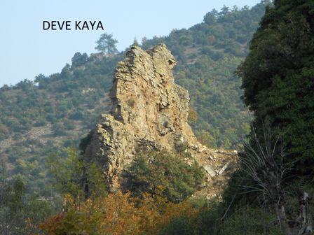 İlginç hayvan figürlerinin bulunduğu kanyon piknik alanı yapılacak