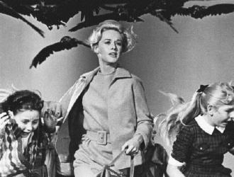 Korku klasiği ‘Kuşlar’ filminin sırrını Türk profesör çözdü