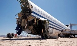 Belgesel için düşürdüler