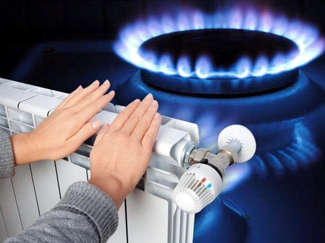 dogalgaz1.webp