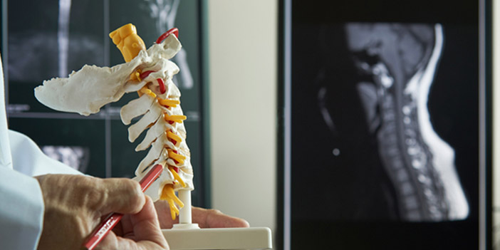 vertebra.jpg