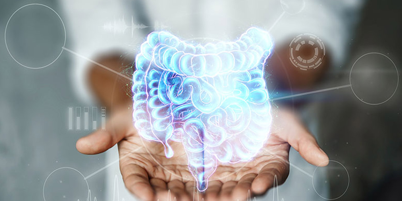 ileus.jpg