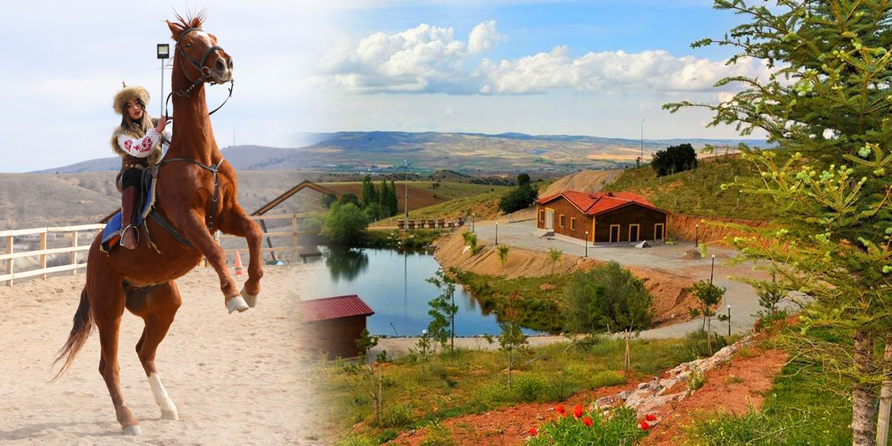 dinekdagi.jpg