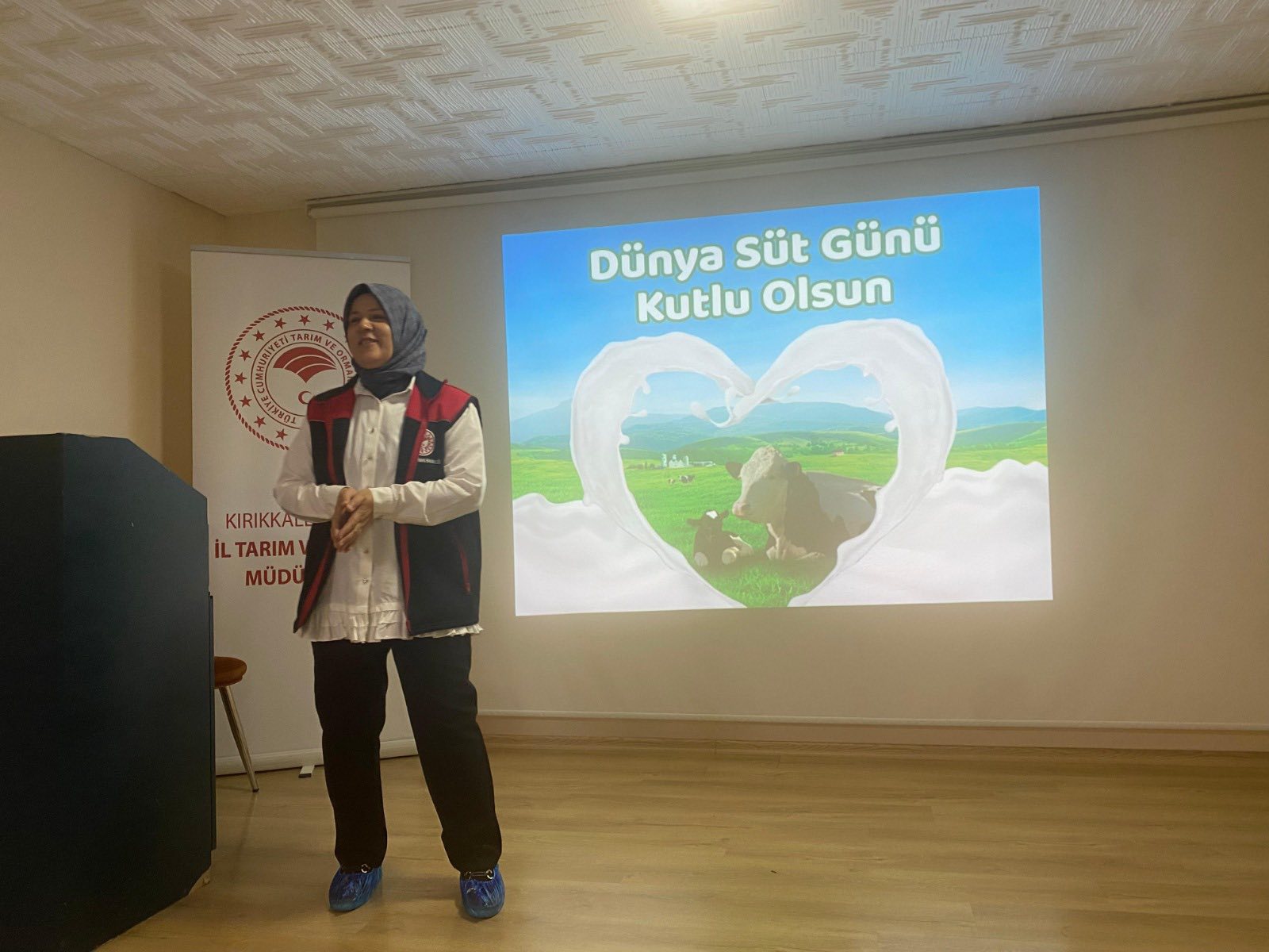 sut.jpg
