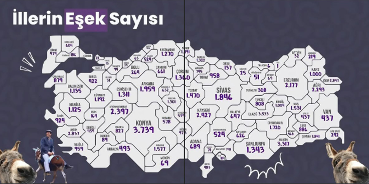 esek-sayisi.jpg