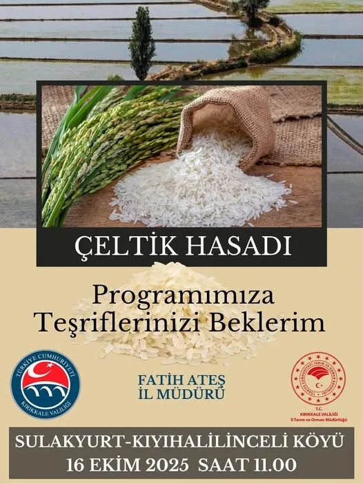 eltik.webp