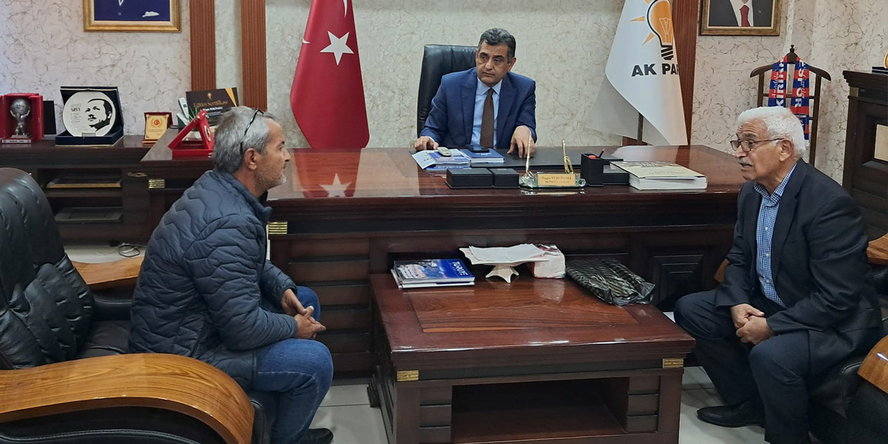 akp1.jpg
