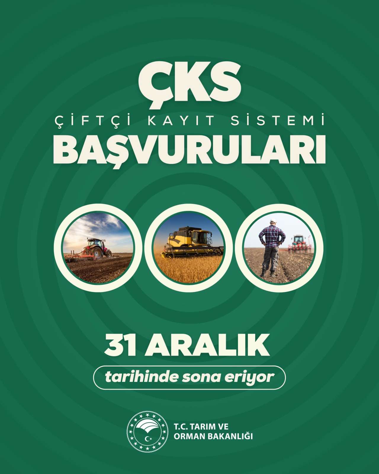 cks