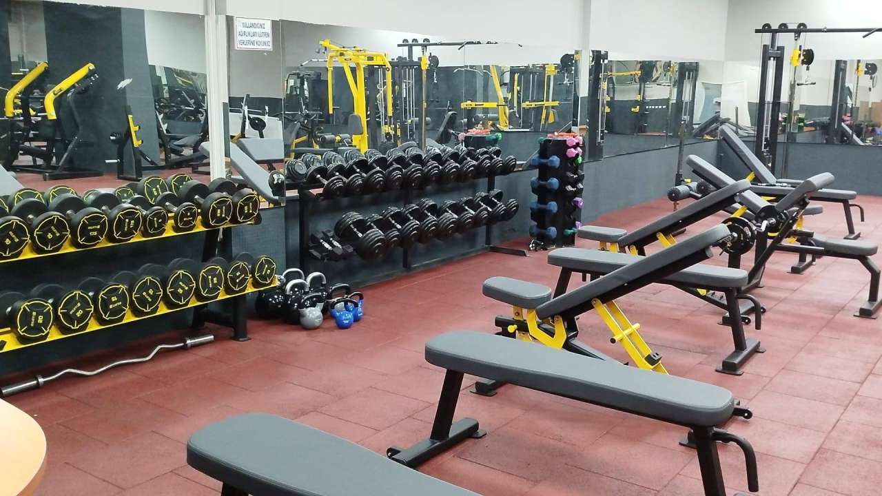 631366570-1206476658269758-8782097793719353202-n