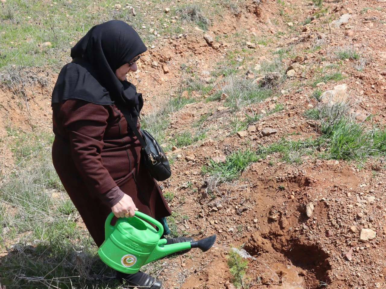 kent-ormani-fidan-projesi