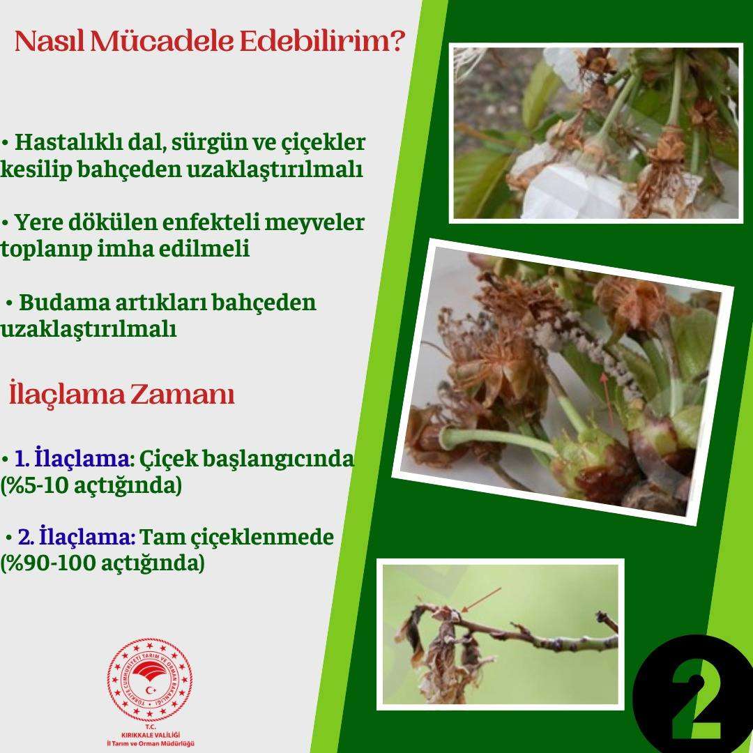 675371416-122169480638822273-3187140043781428815-n