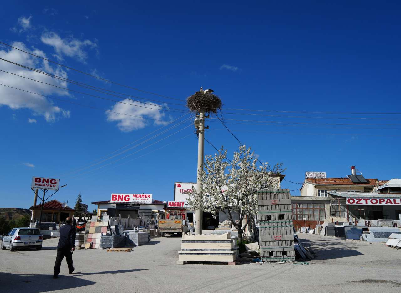 kirikkale-mermerciler-sitesi-leylekler-ruzgar-ve-nergis-yuvaya-dondu1