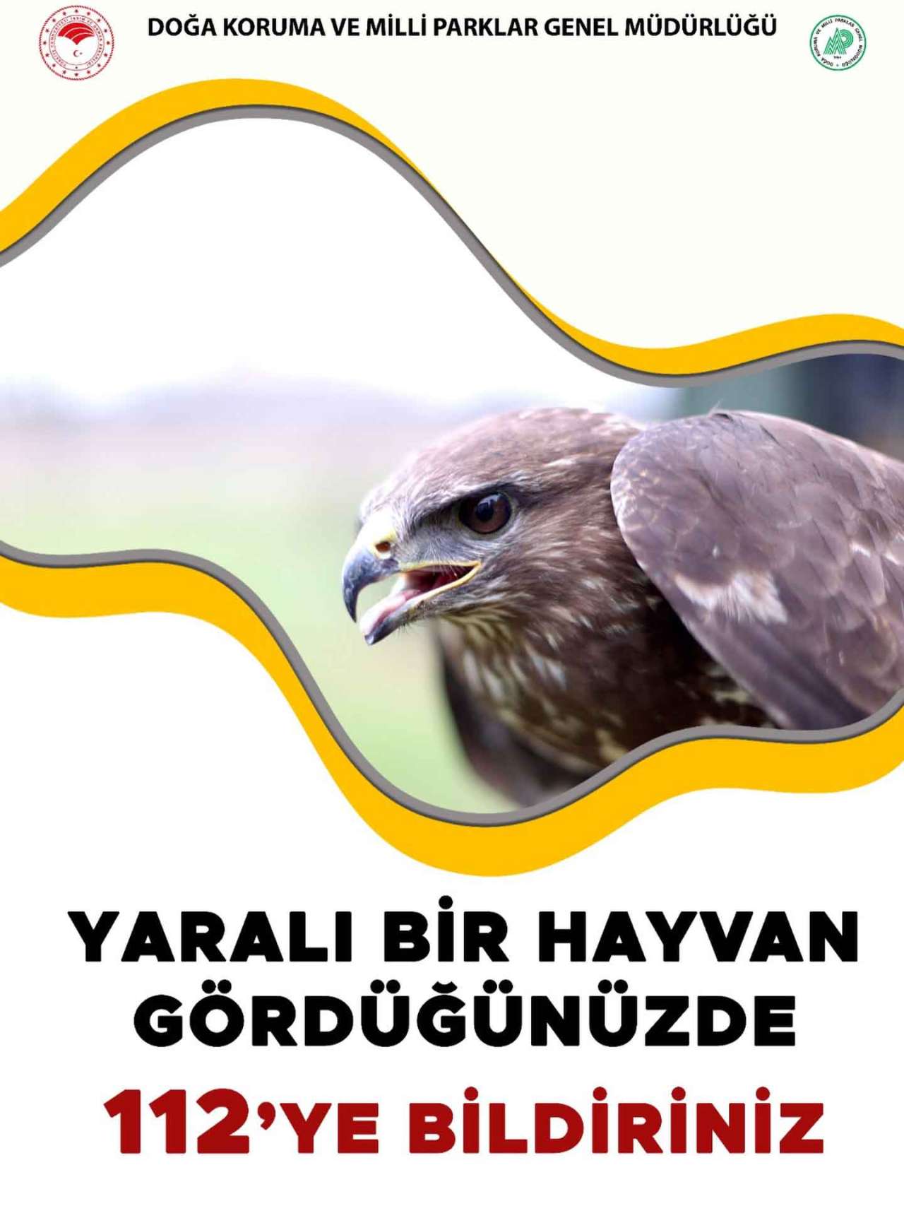 yarali-yaban-hayvani-kurtarma-ekipleri