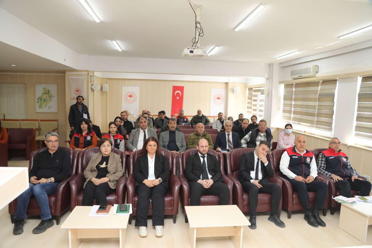 tarim2