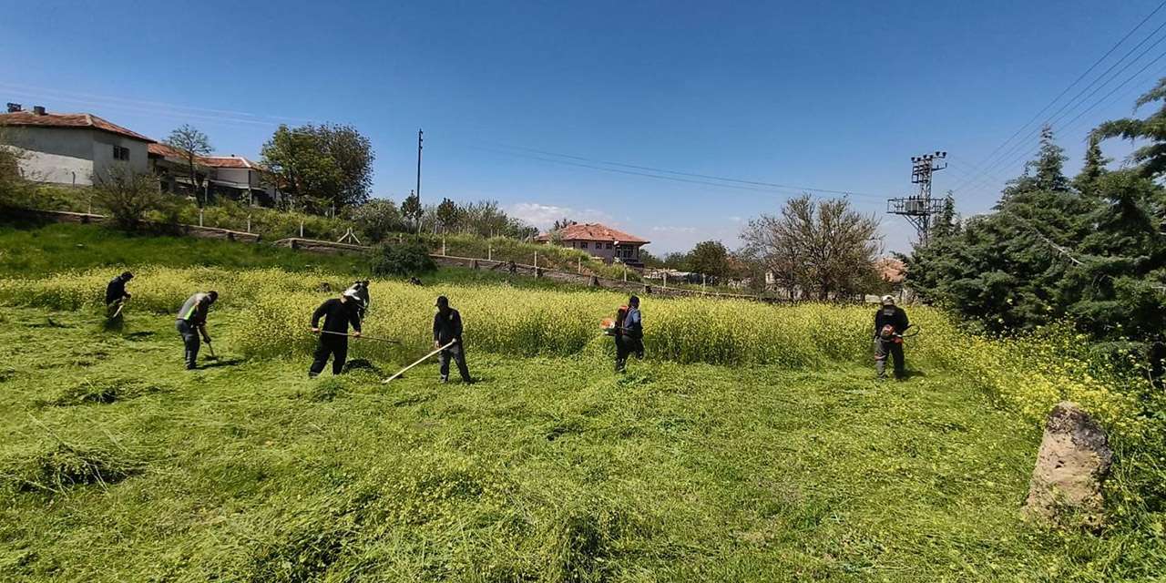 park-bahceler-mudurlugu-cevre-duzenleme