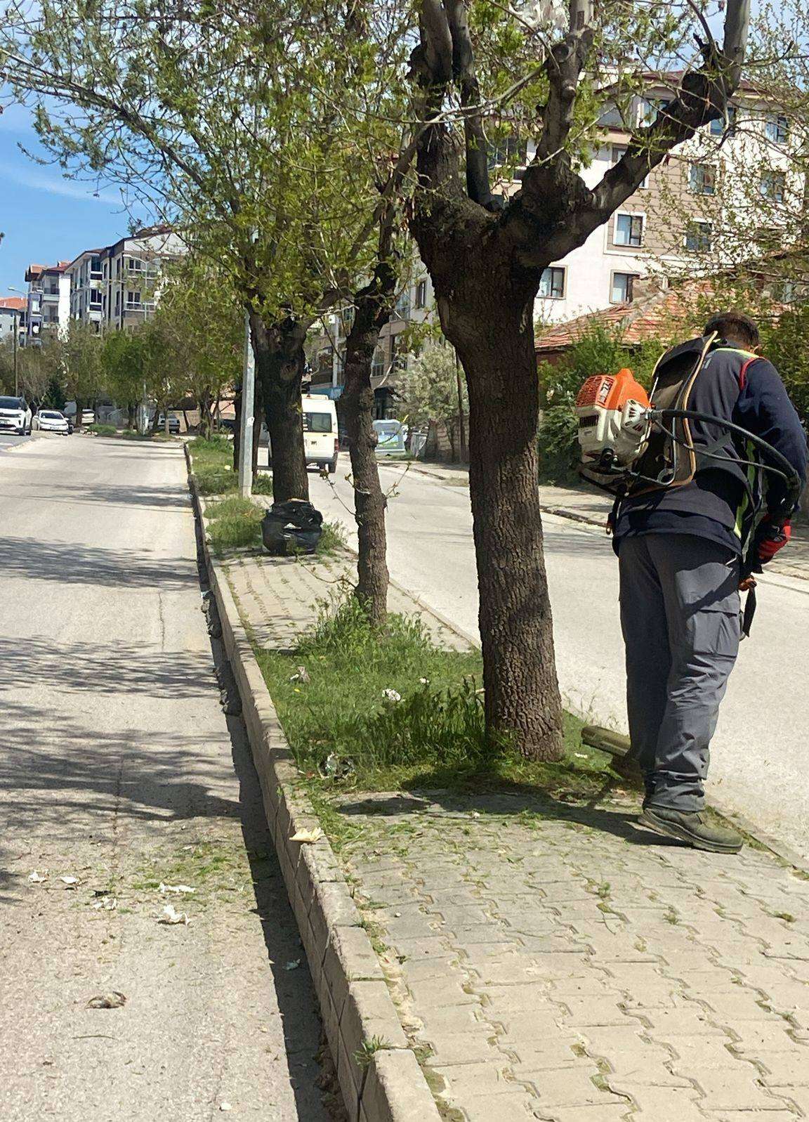 belediye2