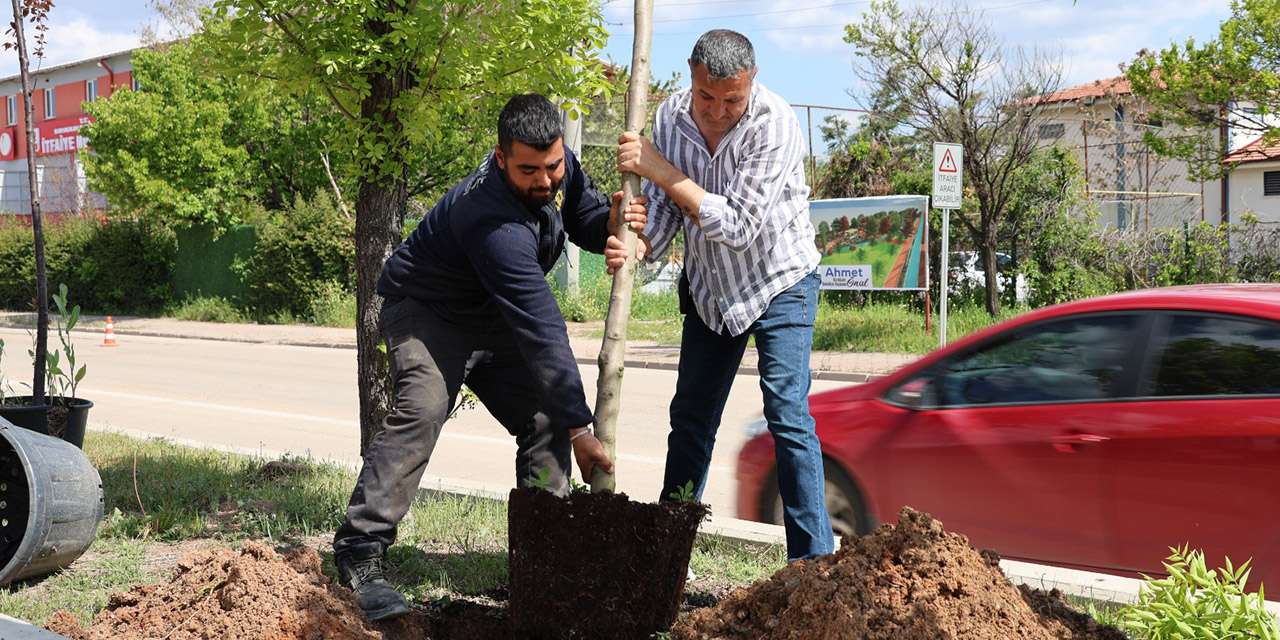 yesil-kirikkale-sehir-estetigi-calismalari