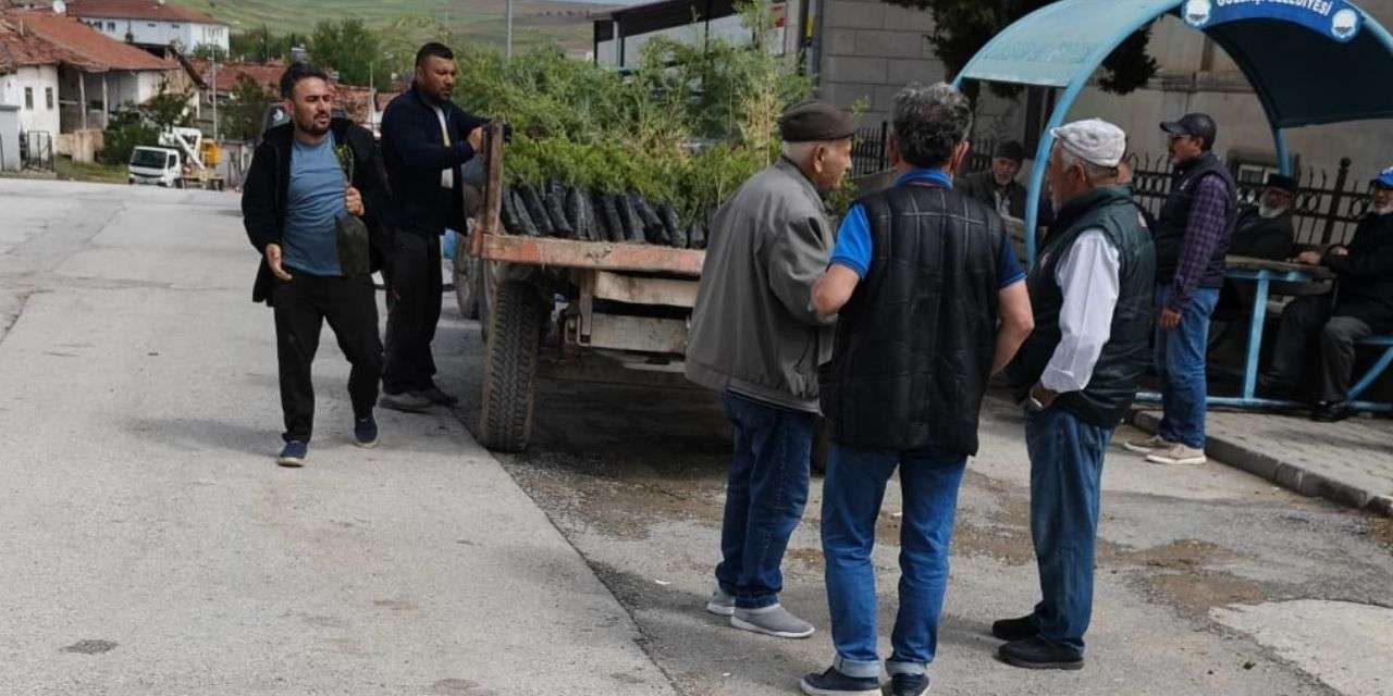 karakecili-belediye-baskani-huseyin-ozcelik-yesil-alan-2