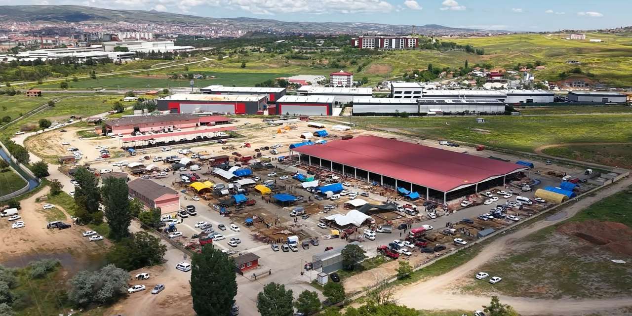 hayvan-pazarinda-bayramin-ilk-gunu-pazarliklari