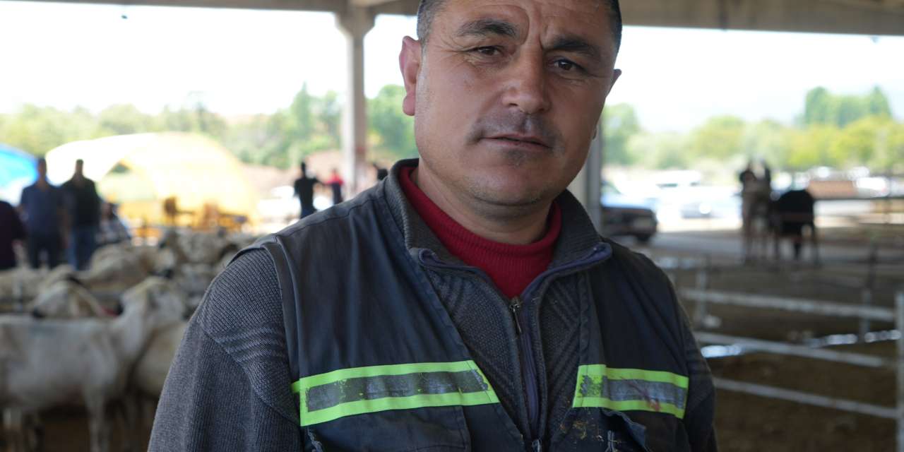hayvan-pazarinda-bayramin-ilk-gunu-pazarliklari