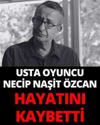 whatsapp-image-2026-07-08-at-10-40-12