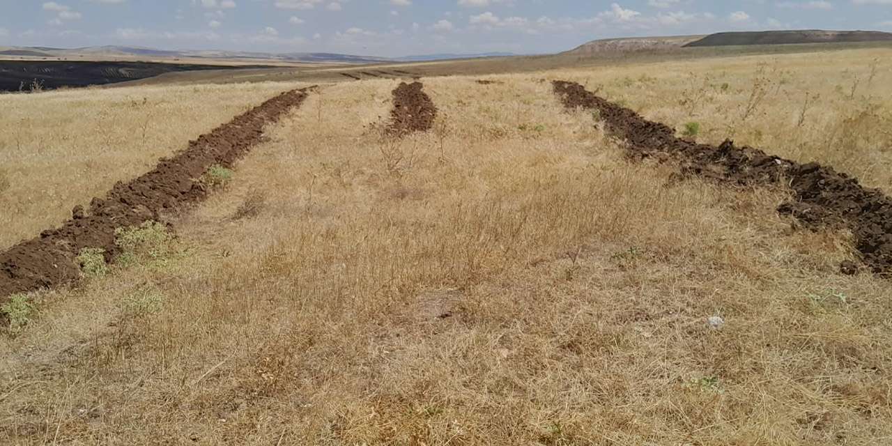 kirikkale-tarim-ve-orman-mudurlugu-hayvancilik
